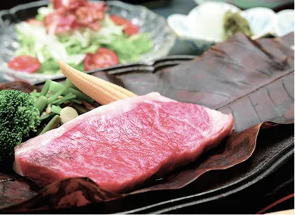 飛騨牛ステーキ料理一例