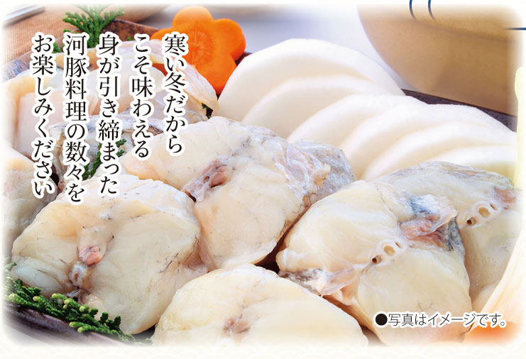 松茸と伊勢海老の饗宴プラン