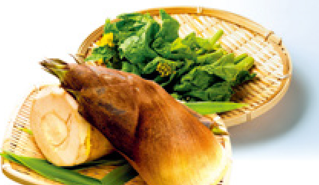 企業限定プラン