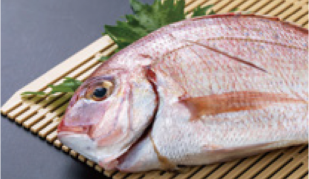 企業限定プラン